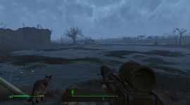 Fallout 4 0232